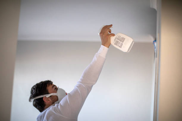 Best Mold Removal Specialists  in Willimantic, CT