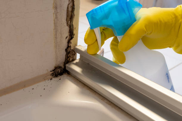 Water Damage Restoration in Willimantic, CT