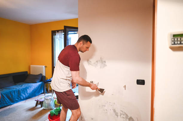 Best Water Damage Restoration  in Willimantic, CT